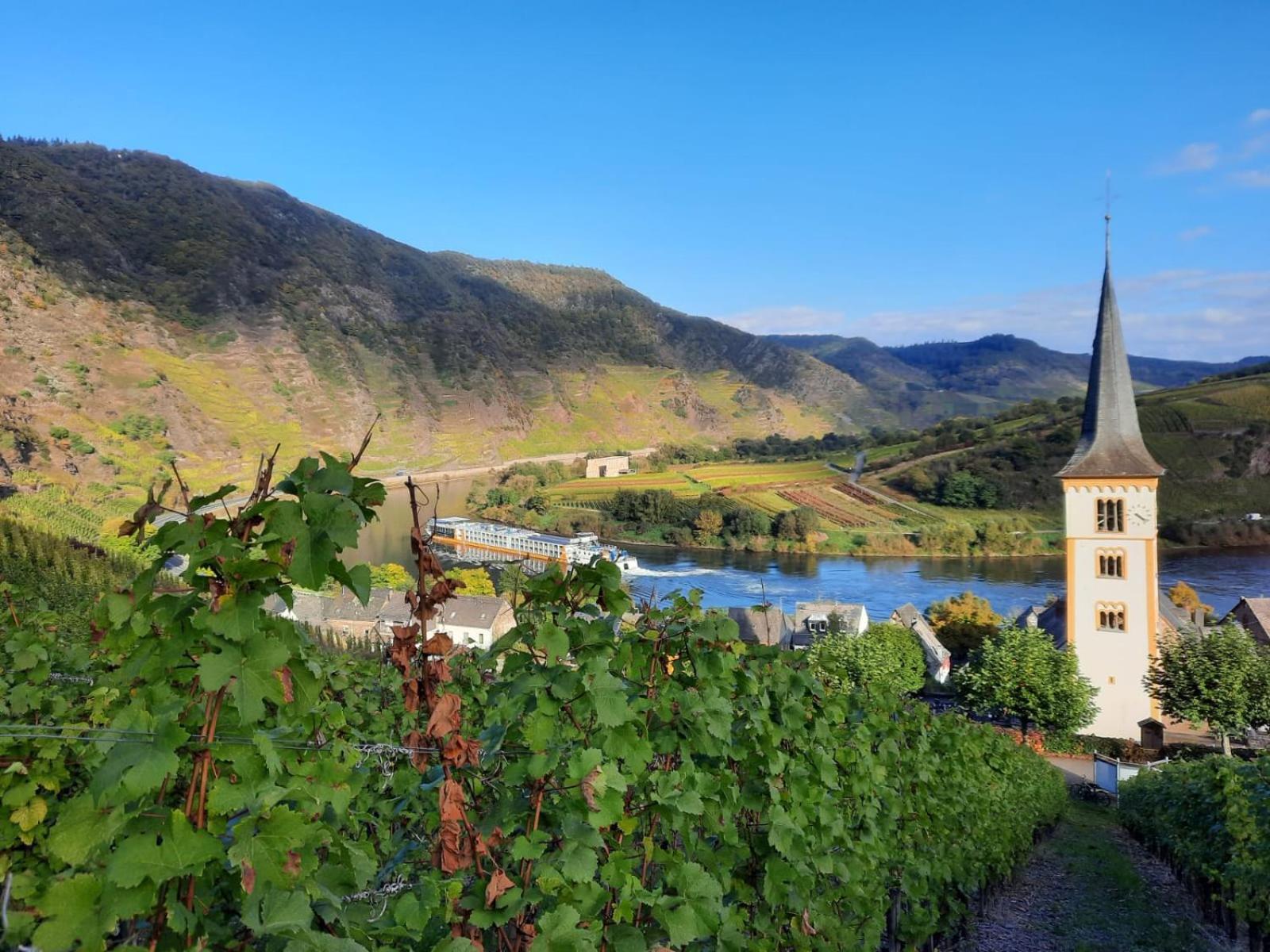 Winzerhaus Schenk Neef Exterior foto